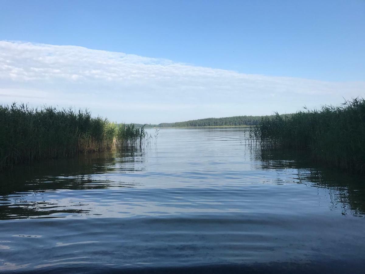 Ferienhaus Im Fischersteig Wustrow  Exteriör bild